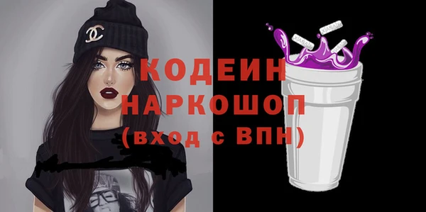 гашик Костерёво